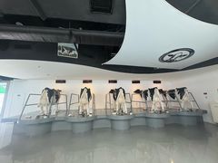 -蒙牛工业旅游景区