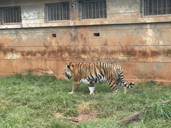 -昆明动物园