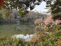 -杭州植物园