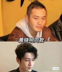 -菩叶脱发白发中心