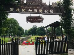 -田园东方蜜桃村的田野营地