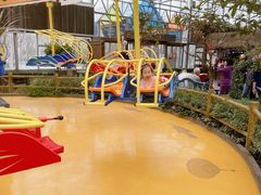 -南宫五洲植物乐园