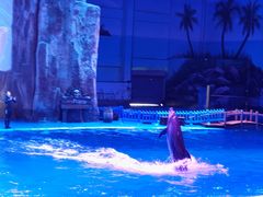 -华夏文旅海洋公园