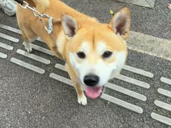 -宠颐生汉谟拉比宠物医院