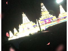 -枫林花海