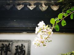 -定园