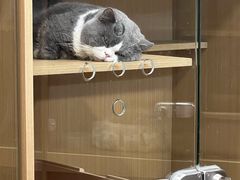 -萌兽医馆·眼科·异宠专科(三里屯店)