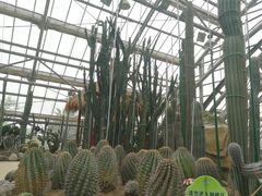 -南山植物园