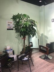 -初心HAlRSALON烫染接发