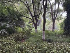 -天目湖山水园