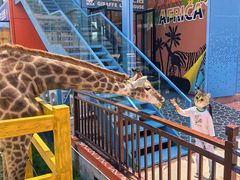 -西霞口神雕山野生动物世界