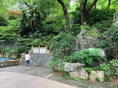 -白沙古井