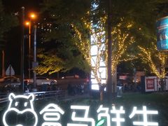 -盒马鲜生(189购物中心店)