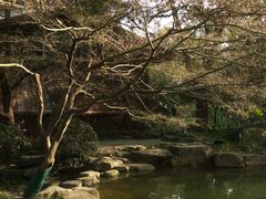 -中国茶叶博物馆(双峰馆区)