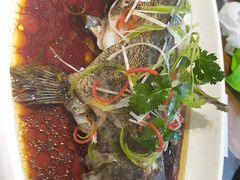 -必点海鲜·鲅鱼水饺(鞍山西道店)