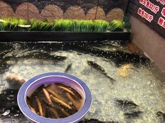 -山河屯铁锅炖(哈西站店)