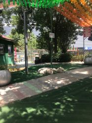 -萌宠亲子动物乐园(槐房万达店)