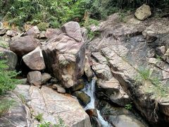 -广州白江湖森林公园