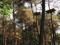 -816工程景区