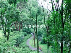 景点-阿哈湖国家湿地公园