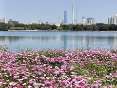-海珠湖公园