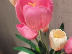-鑫小城故事·藕汤·家常菜(台北一路总店)