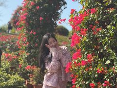 -东莞植物园