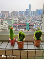 -发饰美男士增发补发假发定制店