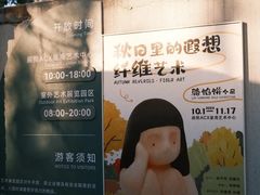 -辰熙ACX星海艺术中心