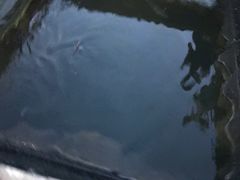 -海上驿站渔家菜馆