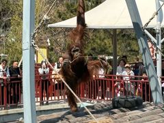 -西霞口神雕山野生动物世界