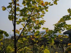 -穹窿山景区
