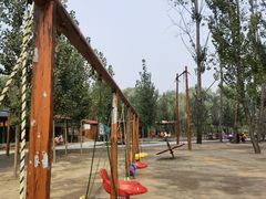 -东方巨龟苑景区