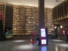 -深影国际影城(学院南路店CGS中国巨幕店)