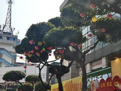 -何氏筠连水粉(明伦堂店)