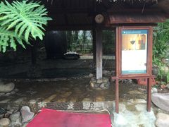 -三亚珠江南田温泉度假区