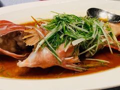 -皇朝会.经典传统粤菜(外滩店)