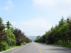 DSC_0893副本-微山湖红荷湿地景区