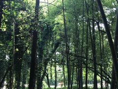 -上海市保健医疗中心(华东疗养院)
