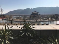 -函谷关历史文化旅游区