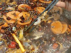 -大江美蛙鱼火锅(都江堰店)