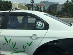 -土桥手掌鸡·26年灌县老味道(都江堰店)