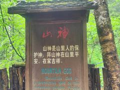 -峡谷浮石林景区