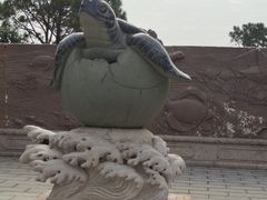 -广东惠东海龟国家级自然保护区