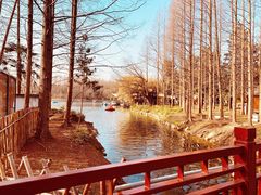 -东平国家森林公园