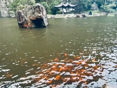 -刘伯温故里景区百丈漈