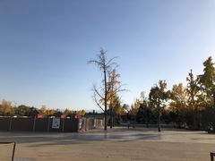 -大雁塔北广场音乐喷泉
