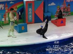 -成都浩海立方海洋公园