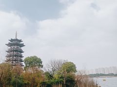 -洋湖国家湿地公园