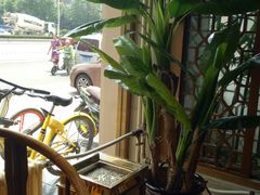 -羊上树(南门外店)